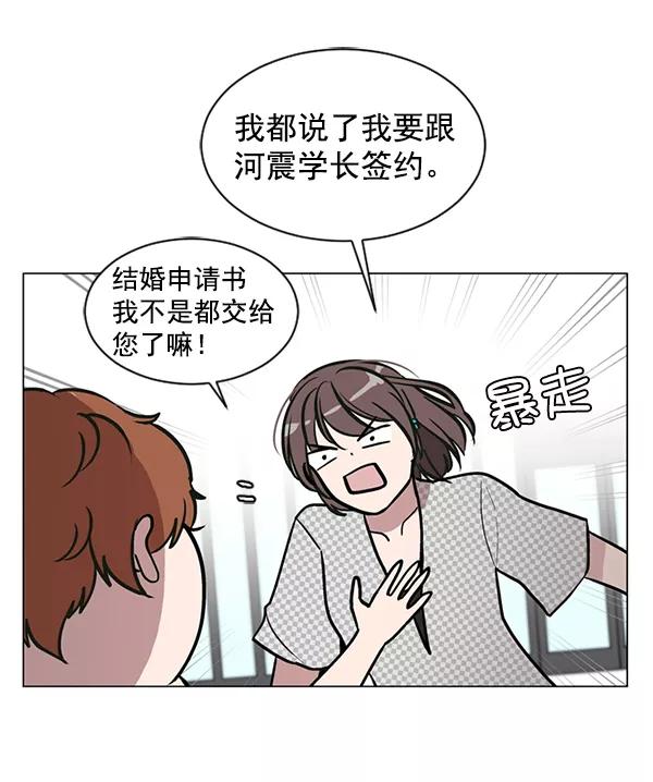 《小麻雀求婚记》第49话 第20页
