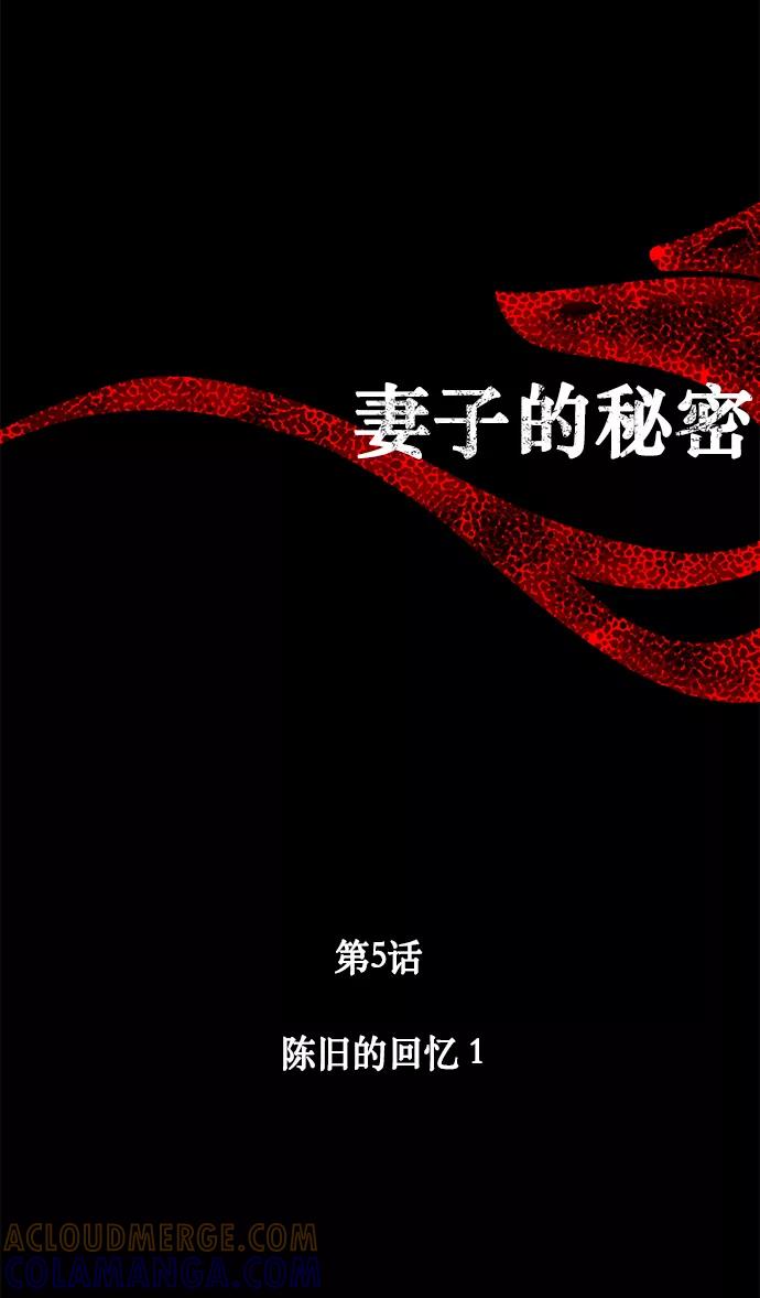 《妻子的秘密》[第5话] 陈旧的回忆 1 第5页