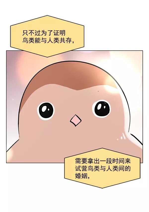 《小麻雀求婚记》第50话 第39页