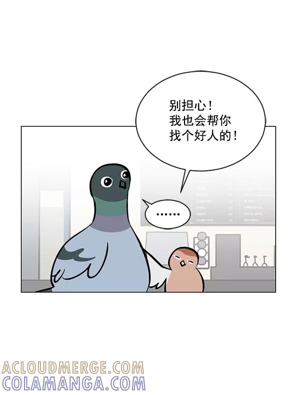 《小麻雀求婚记》第50话 第46页