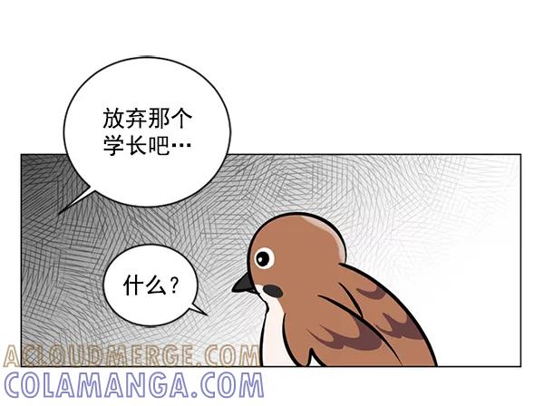 《小麻雀求婚记》第51话 第37页