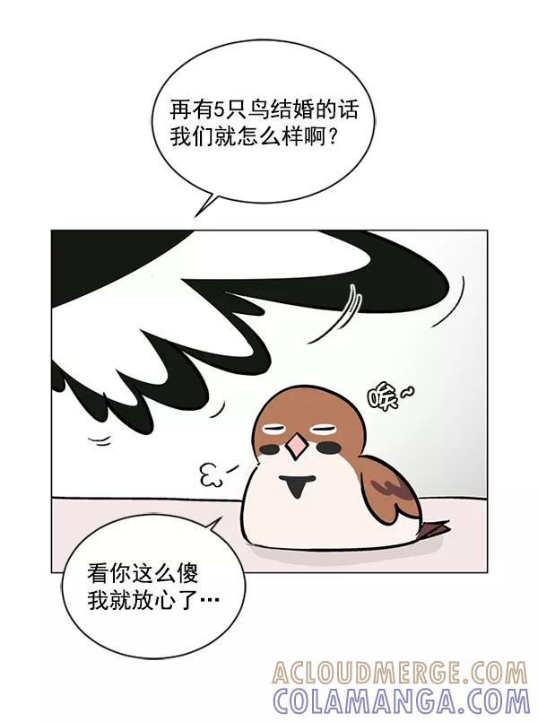 《小麻雀求婚记》第51话 第31页