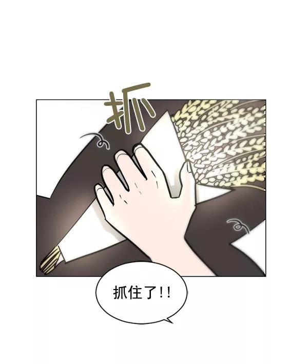 《小麻雀求婚记》第51话 第11页