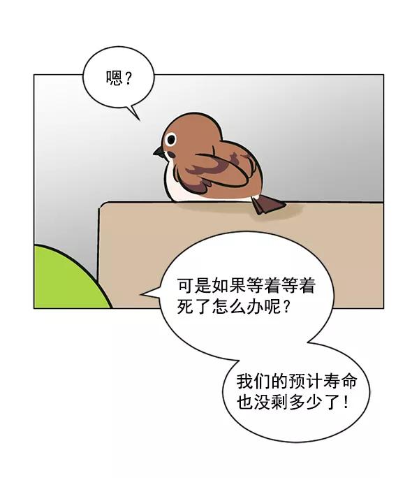 《小麻雀求婚记》第51话 第44页