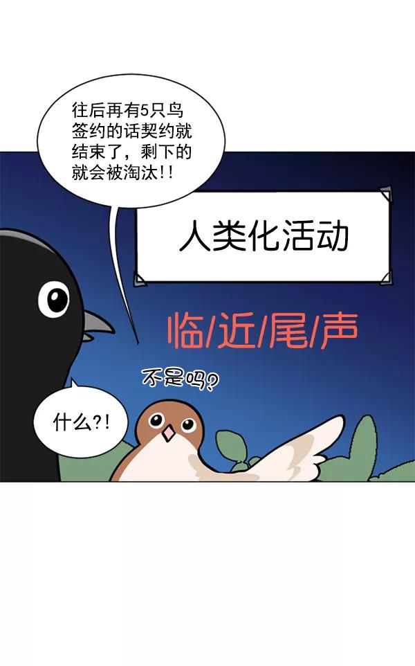《小麻雀求婚记》第51话 第51页