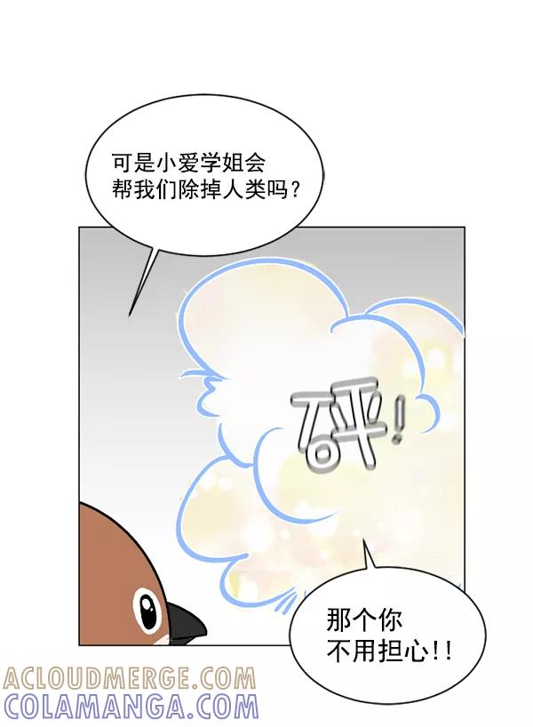 《小麻雀求婚记》第52话 第19页
