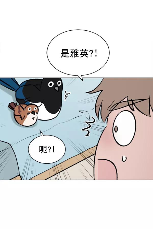 《小麻雀求婚记》第52话 第36页