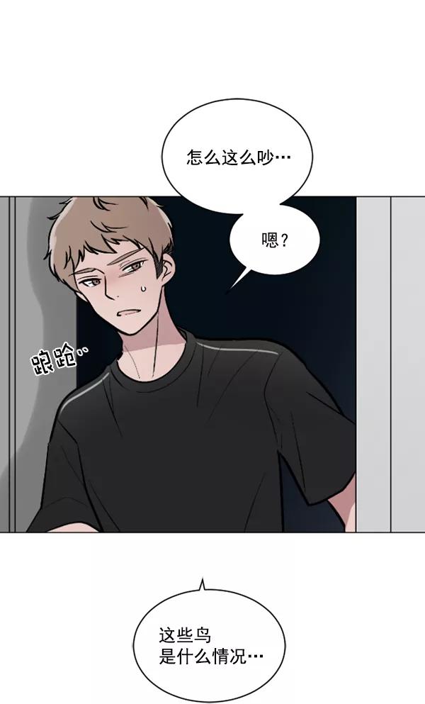 《小麻雀求婚记》第52话 第32页