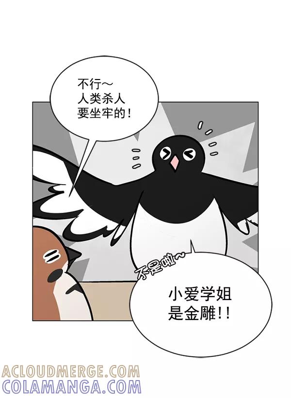 《小麻雀求婚记》第52话 第16页