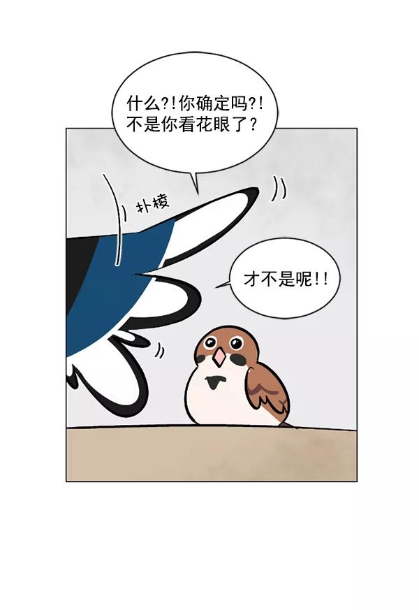 《小麻雀求婚记》第52话 第17页