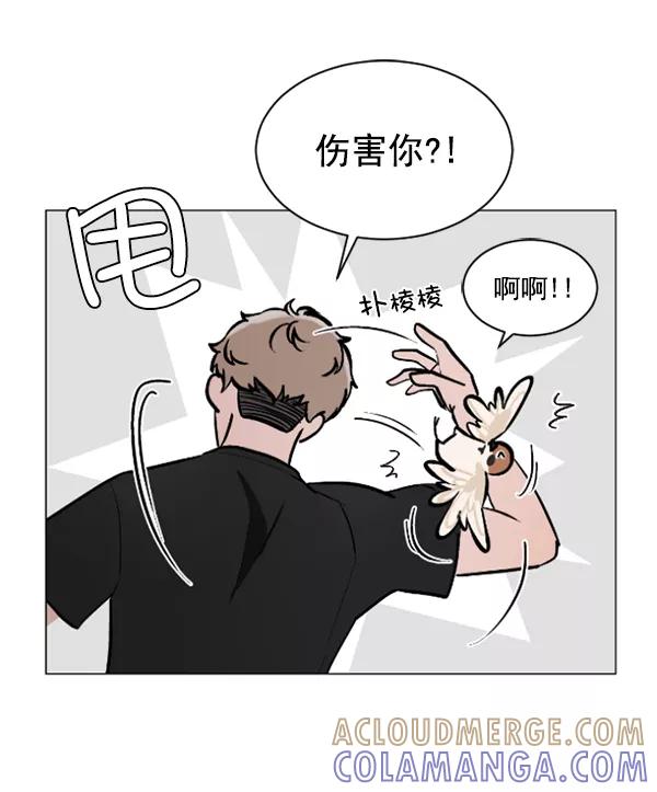 《小麻雀求婚记》第52话 第52页