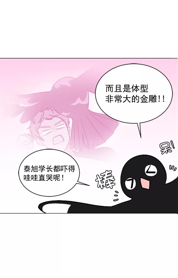 《小麻雀求婚记》第52话 第18页