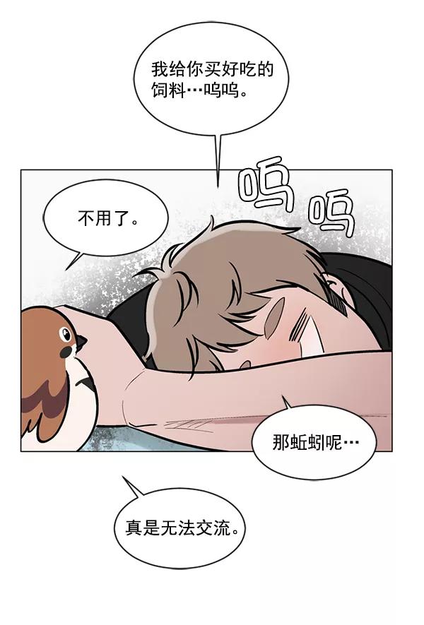《小麻雀求婚记》第52话 第47页
