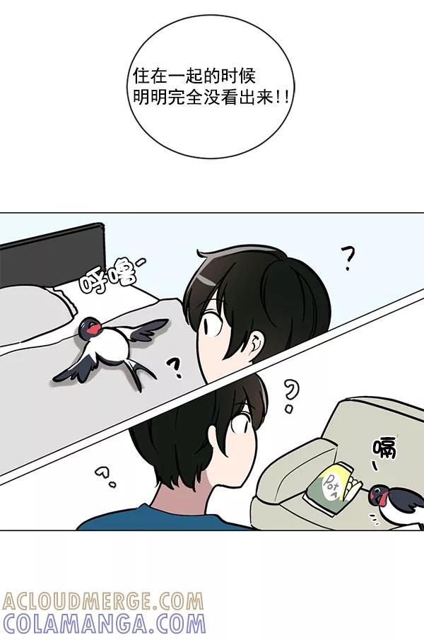 《小麻雀求婚记》第53话 第4页