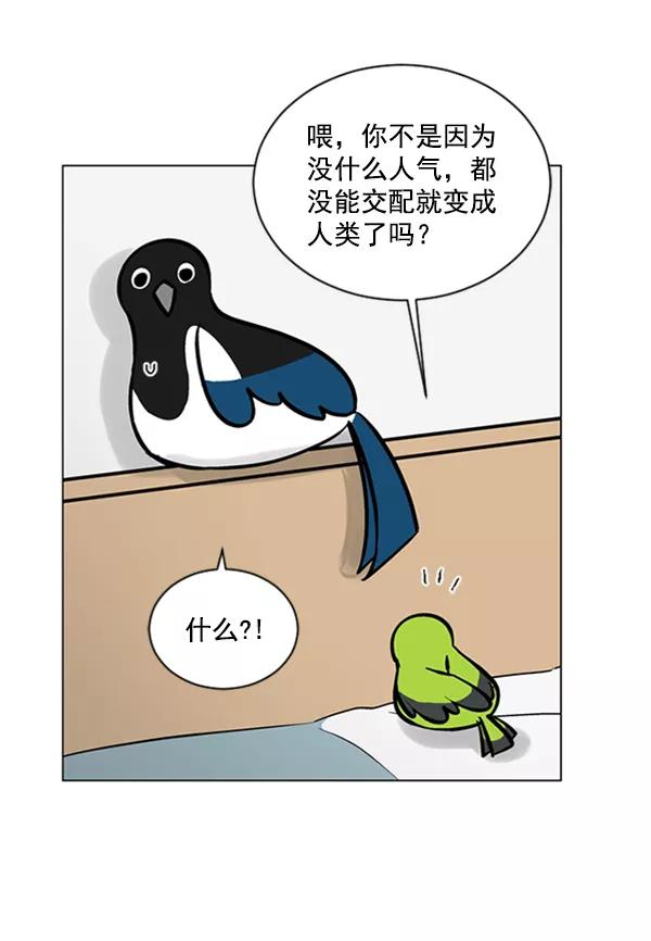 《小麻雀求婚记》第54话 第8页