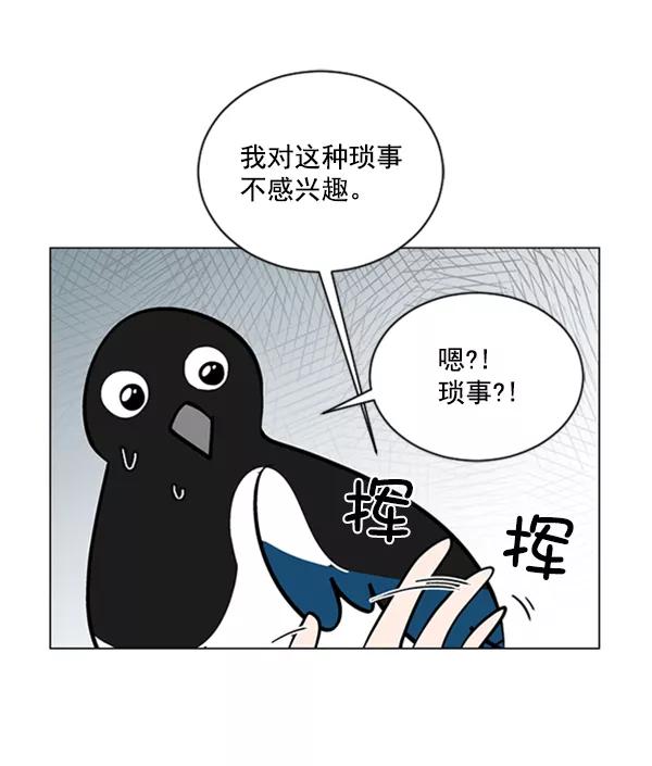 《小麻雀求婚记》第54话 第11页