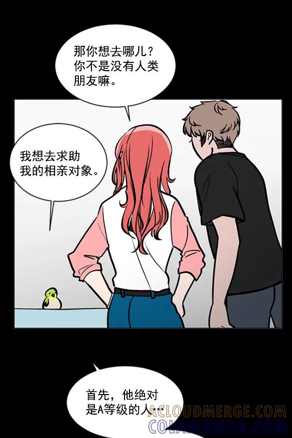 《小麻雀求婚记》第54话 第34页