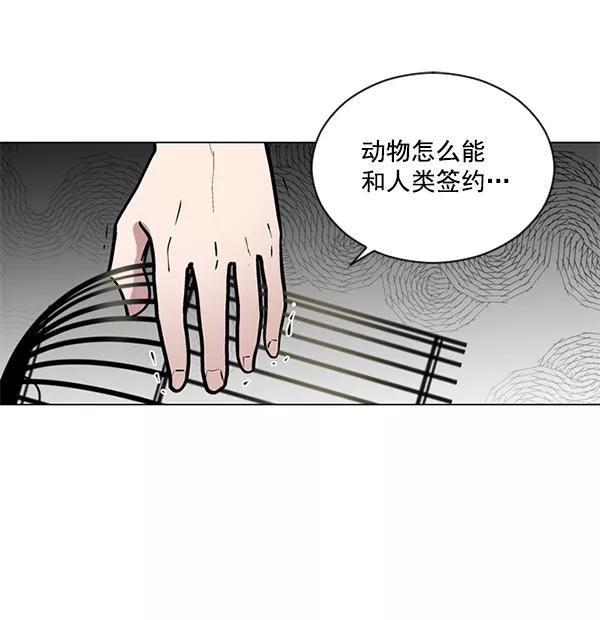 《小麻雀求婚记》第55话 第66页