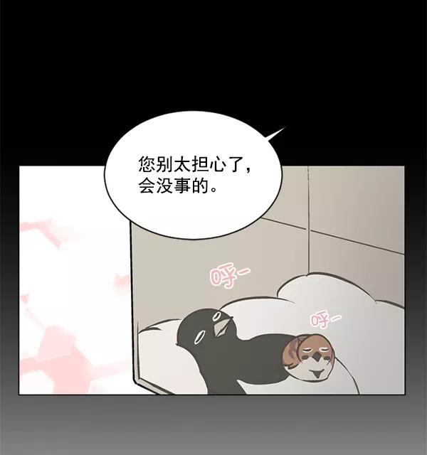 《小麻雀求婚记》第55话 第11页
