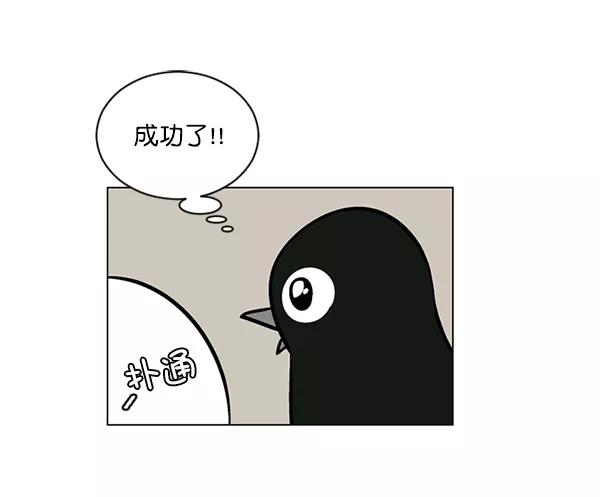 《小麻雀求婚记》第56话 第30页
