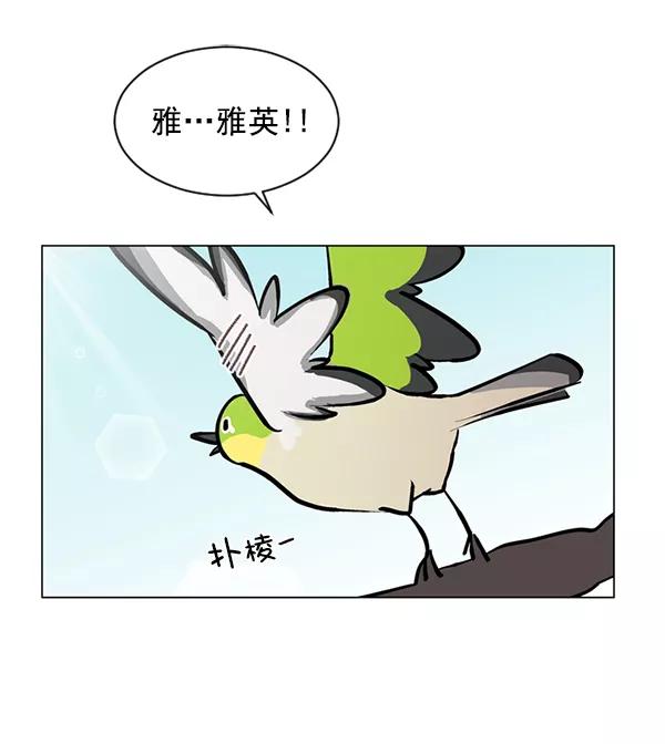 《小麻雀求婚记》第56话 第41页