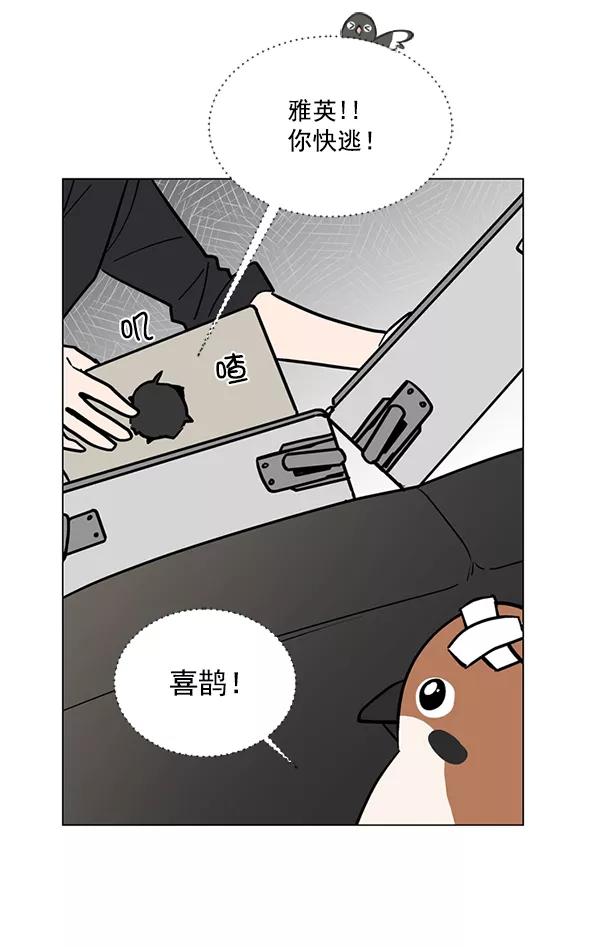 《小麻雀求婚记》第56话 第32页