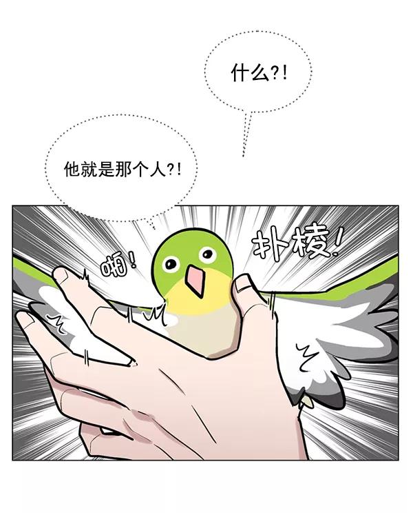 《小麻雀求婚记》第56话 第12页