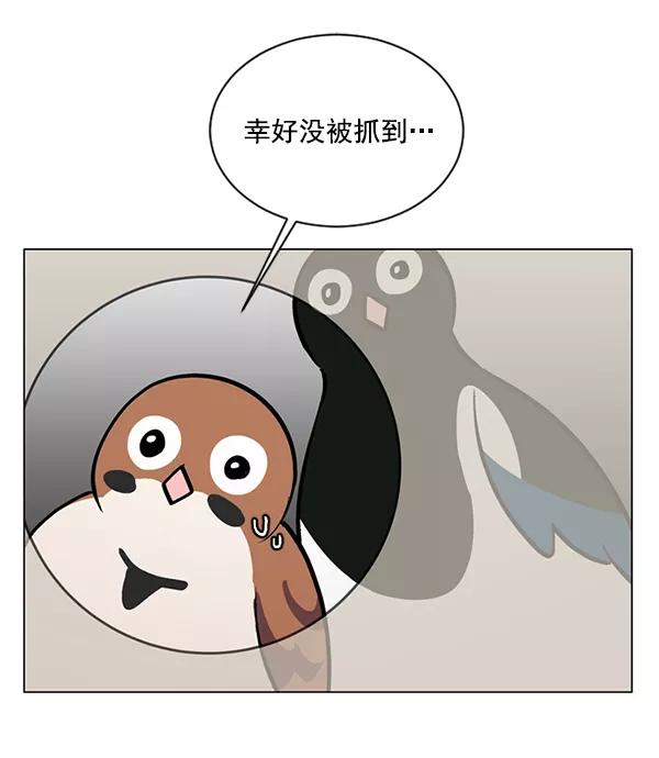 《小麻雀求婚记》第56话 第15页