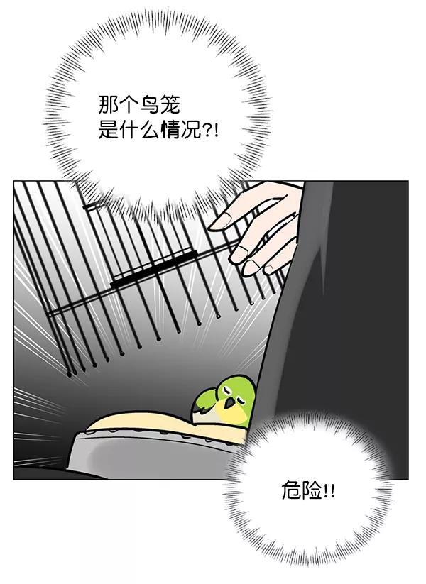 《小麻雀求婚记》第56话 第8页