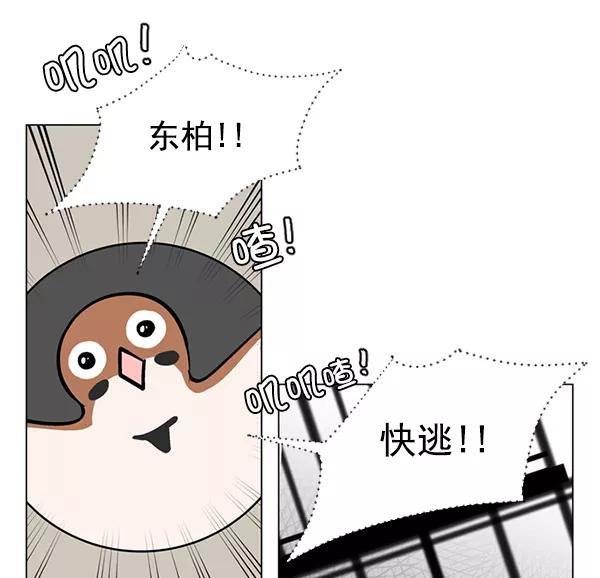 《小麻雀求婚记》第56话 第9页