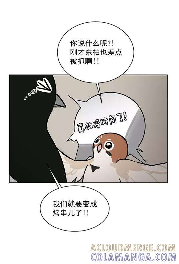 《小麻雀求婚记》第56话 第19页