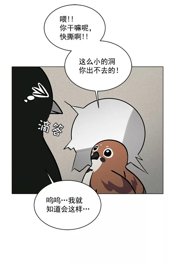 《小麻雀求婚记》第56话 第17页