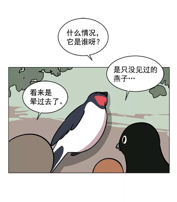 《小麻雀求婚记》第56话 第63页