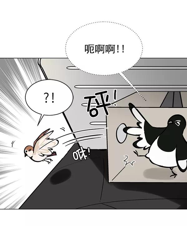 《小麻雀求婚记》第56话 第29页