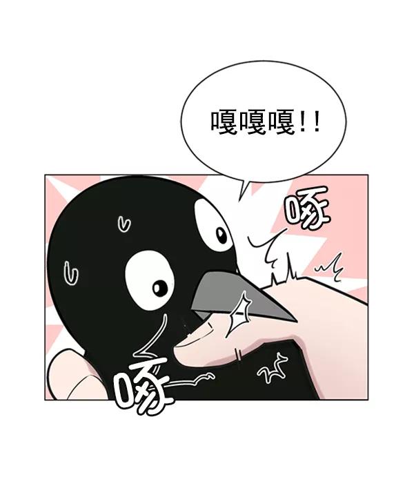 《小麻雀求婚记》第57话 第39页