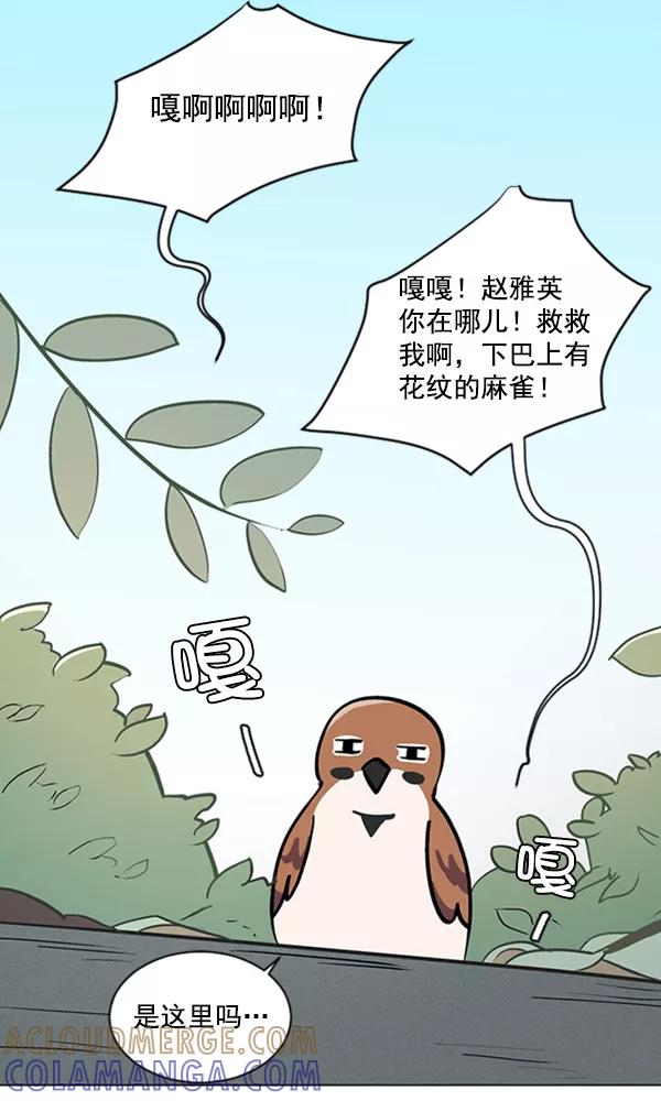 《小麻雀求婚记》第57话 第61页