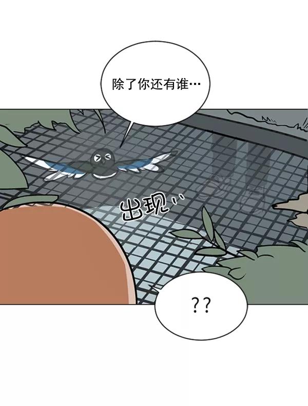 《小麻雀求婚记》第57话 第65页