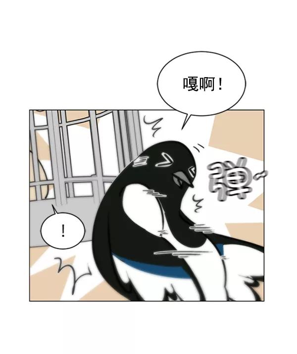 《小麻雀求婚记》第57话 第41页