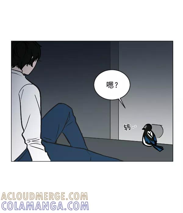 《小麻雀求婚记》第57话 第52页