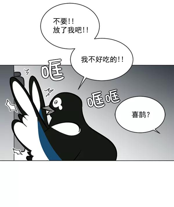 《小麻雀求婚记》第57话 第51页