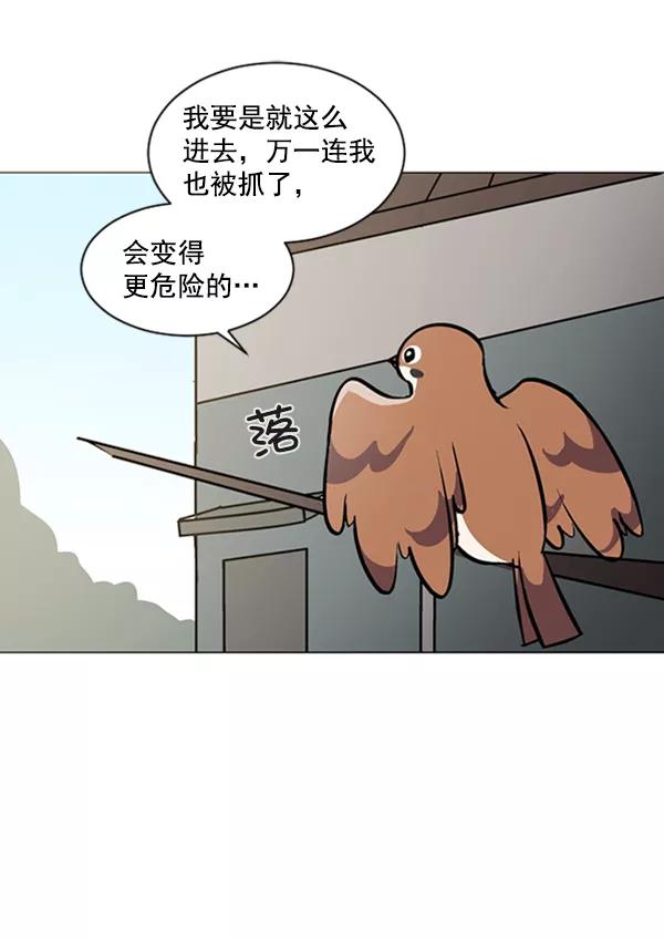 《小麻雀求婚记》第57话 第56页