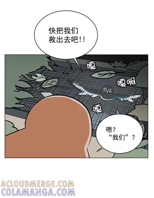 《小麻雀求婚记》第57话 第64页