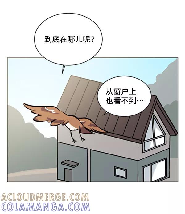 《小麻雀求婚记》第57话 第55页