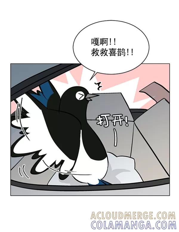 《小麻雀求婚记》第57话 第37页
