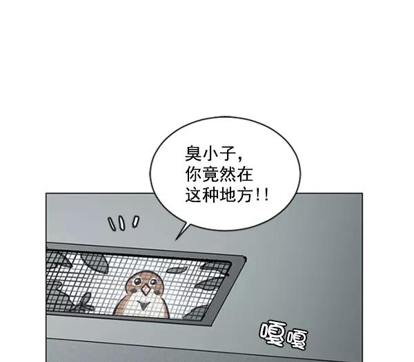 《小麻雀求婚记》第57话 第62页