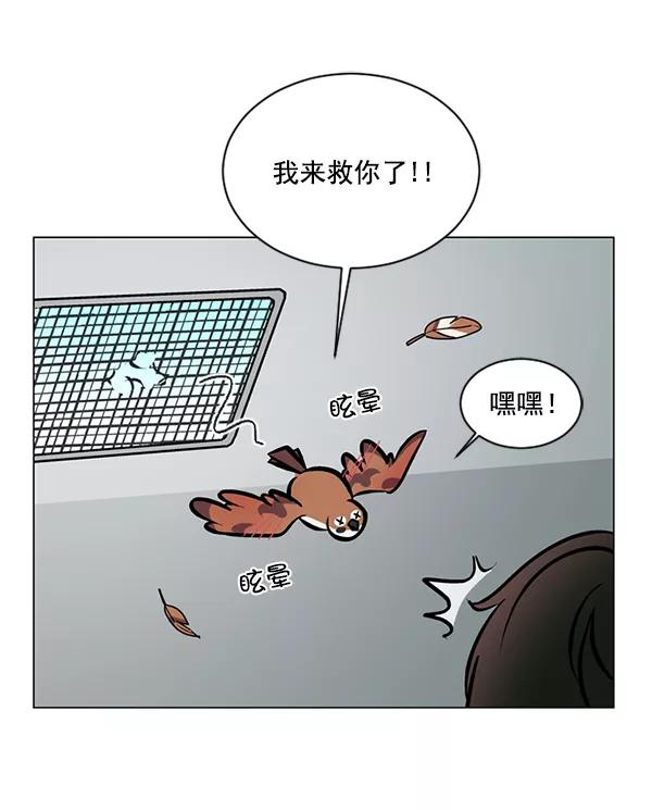 《小麻雀求婚记》第58话 第17页