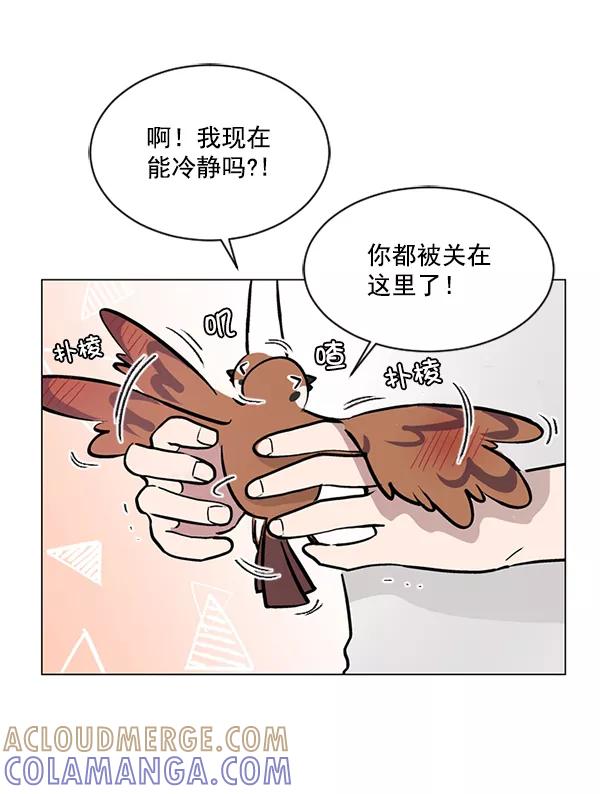 《小麻雀求婚记》第58话 第19页