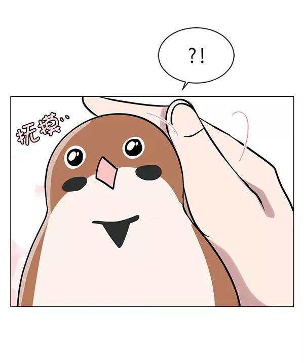 《小麻雀求婚记》第58话 第33页