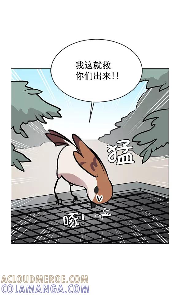 《小麻雀求婚记》第58话 第10页