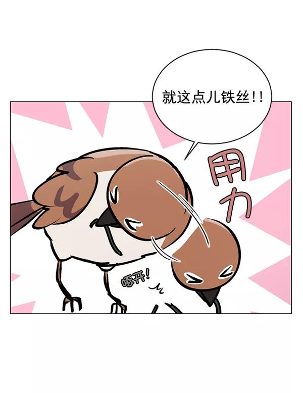 《小麻雀求婚记》第58话 第11页